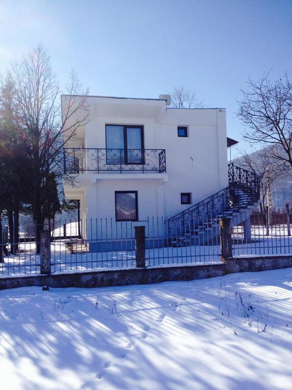 Vila Blanca Alexandru cel Bun Oda fotoğraf
