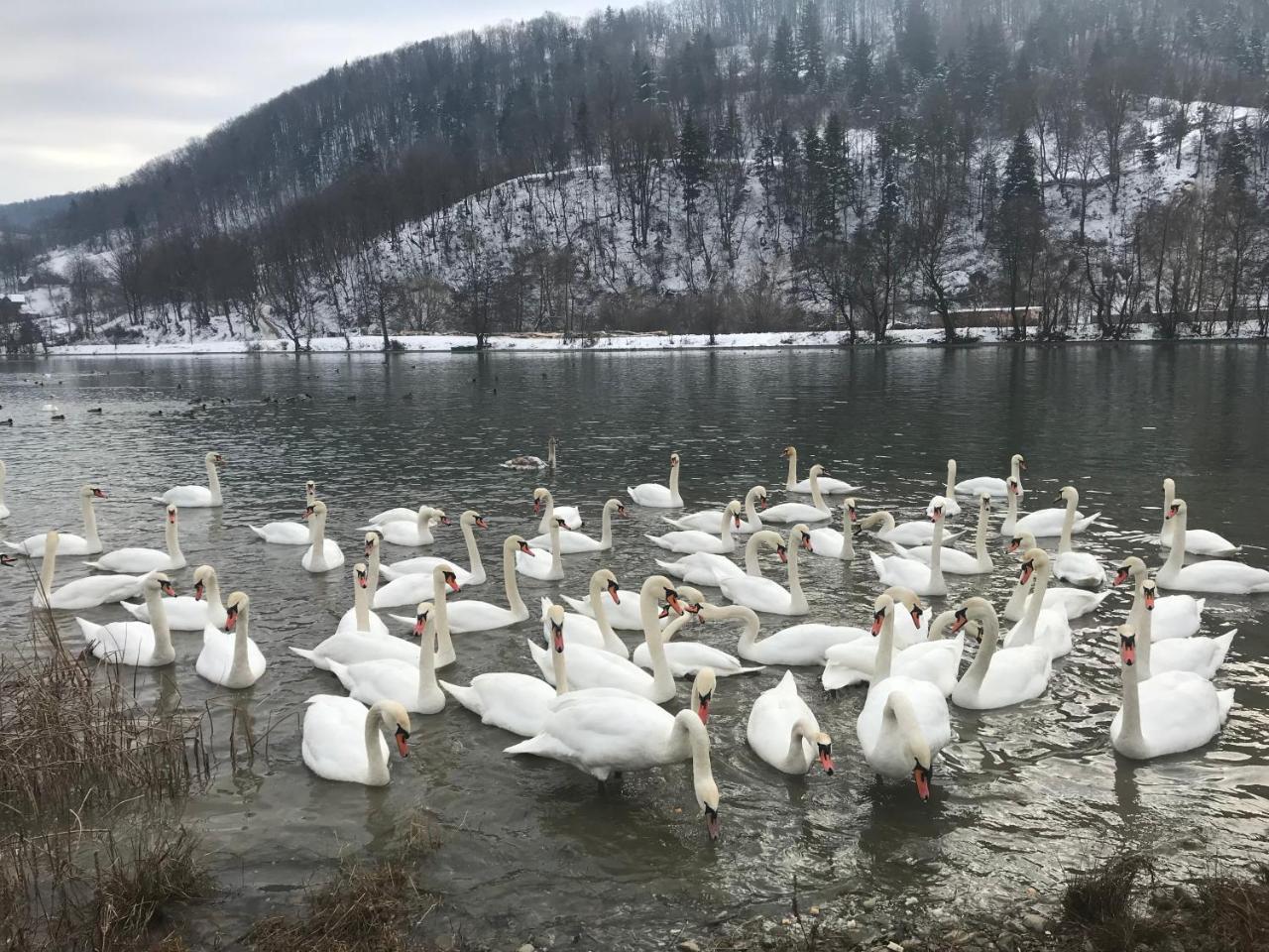 Vila Blanca Alexandru cel Bun Dış mekan fotoğraf