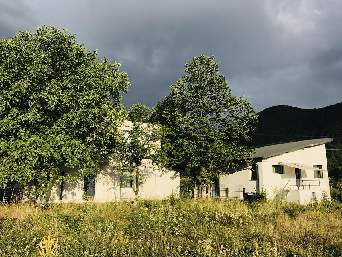 Vila Blanca Alexandru cel Bun Dış mekan fotoğraf